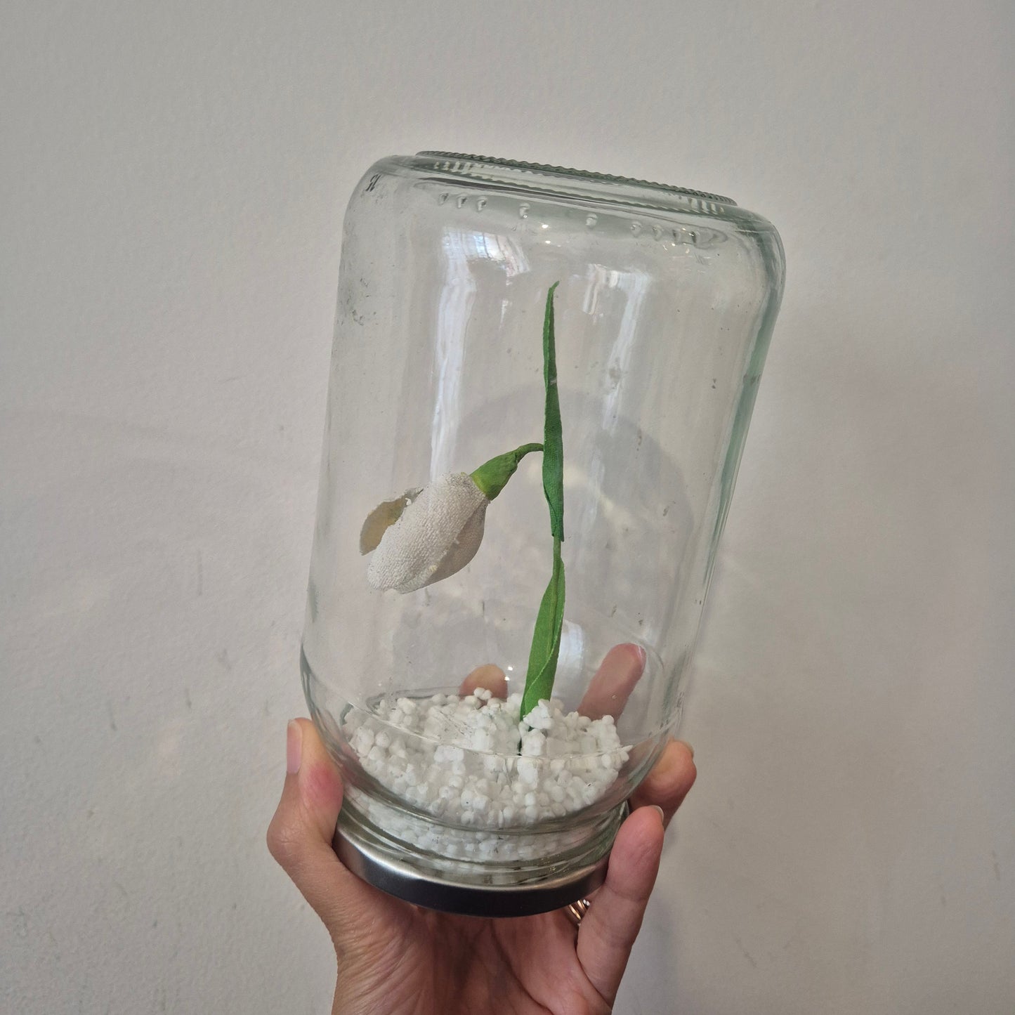 Perce-neige en boule à neige