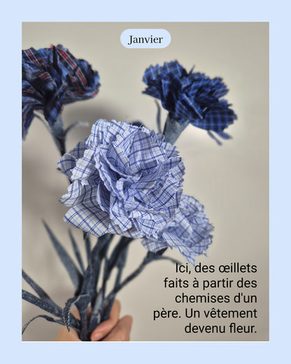 Oeillet - fleur de naissance de Janvier