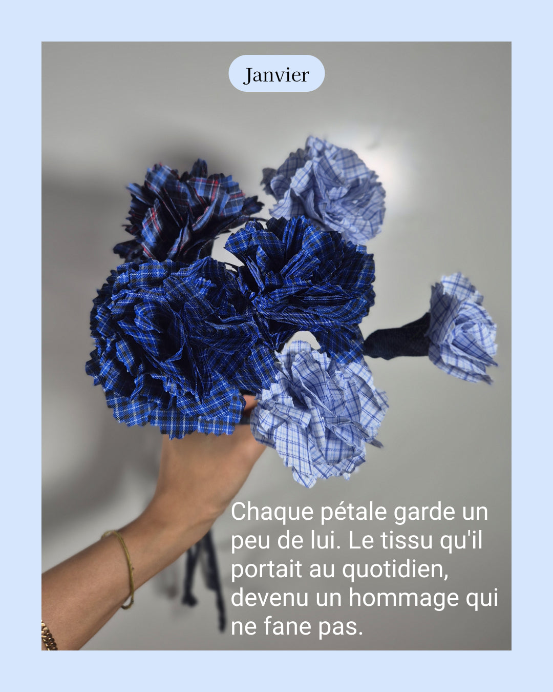 Oeillet - fleur de naissance de Janvier
