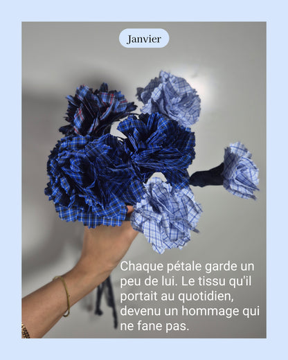 Oeillet - fleur de naissance de Janvier