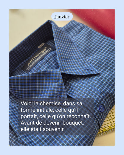 Oeillet - fleur de naissance de Janvier