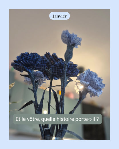 Oeillet - fleur de naissance de Janvier