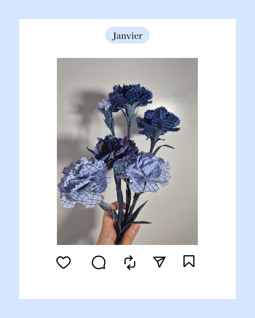 Oeillet - fleur de naissance de Janvier