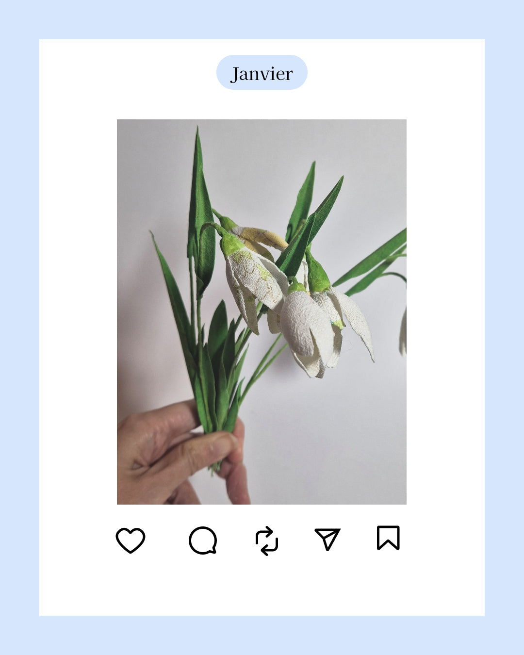 Perce-neige - fleur de naissance de Janvier