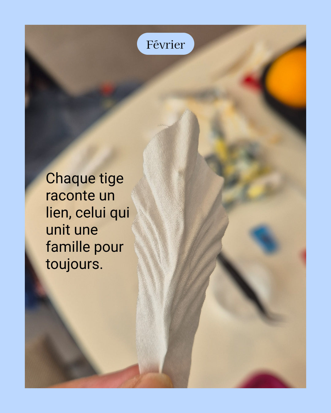 Iris - fleur de naissance de Février