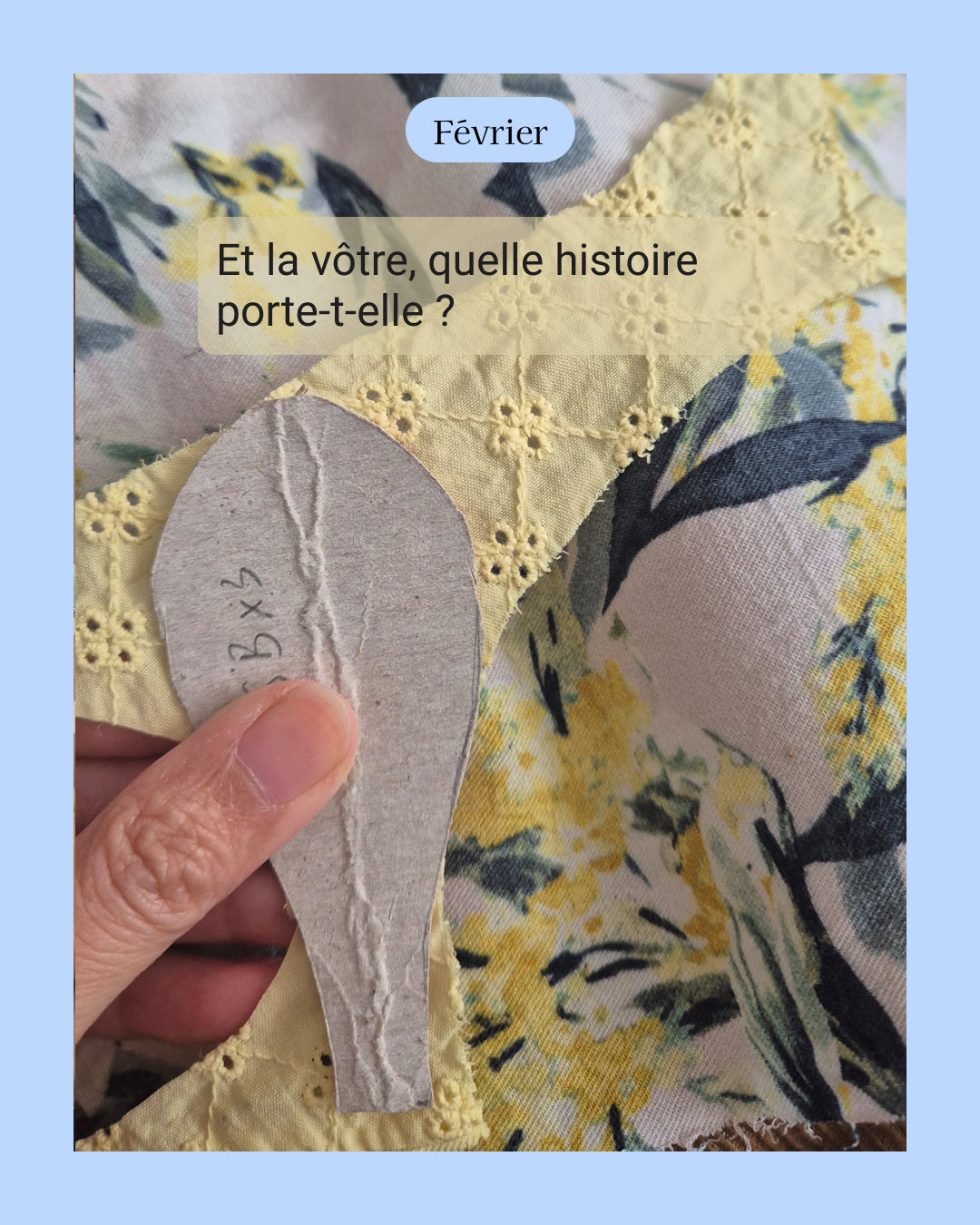 Iris - fleur de naissance de Février