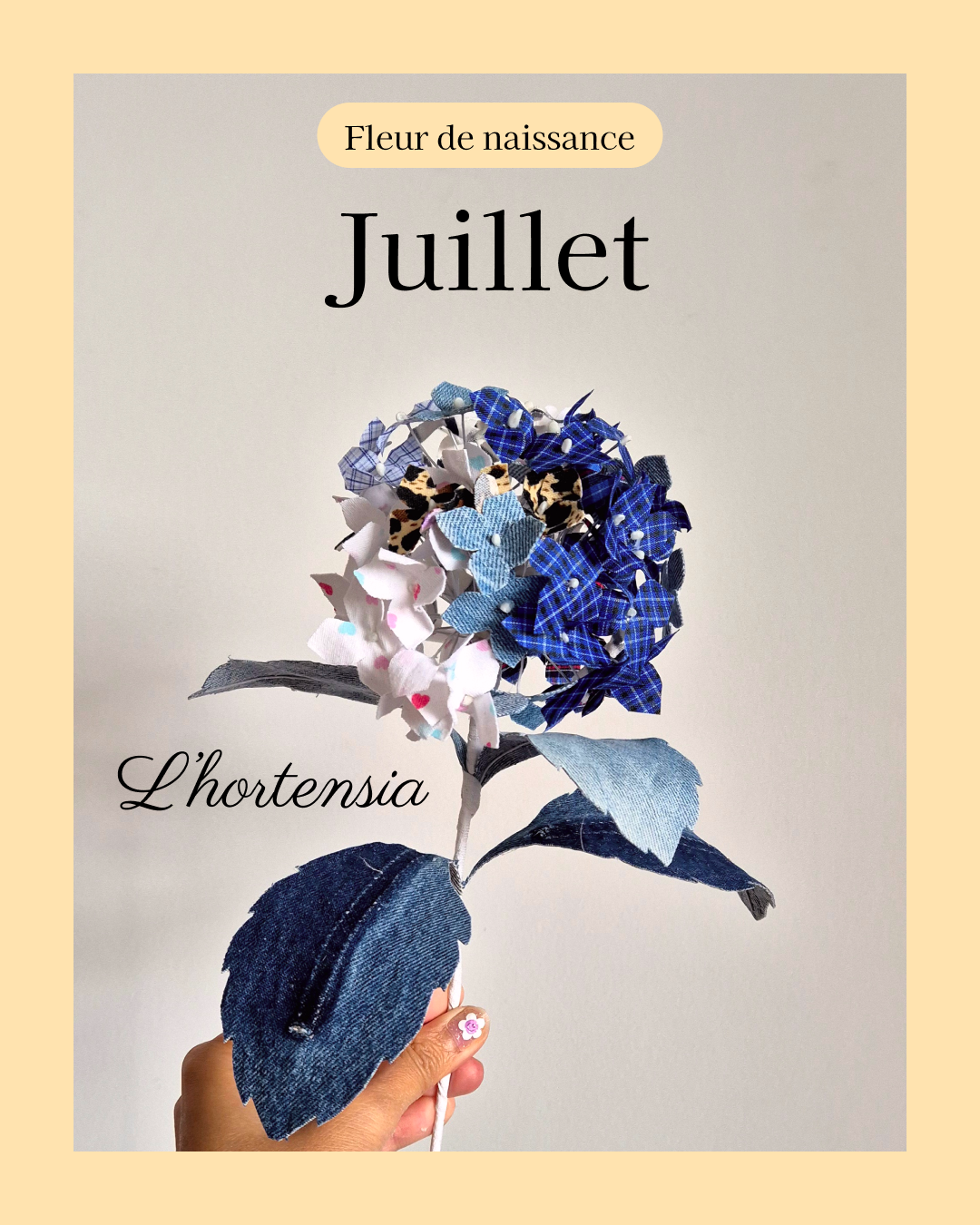 fleur de naissance du mois de juillet à partir de vêtement type de toute la famille pour en faire une hortensia