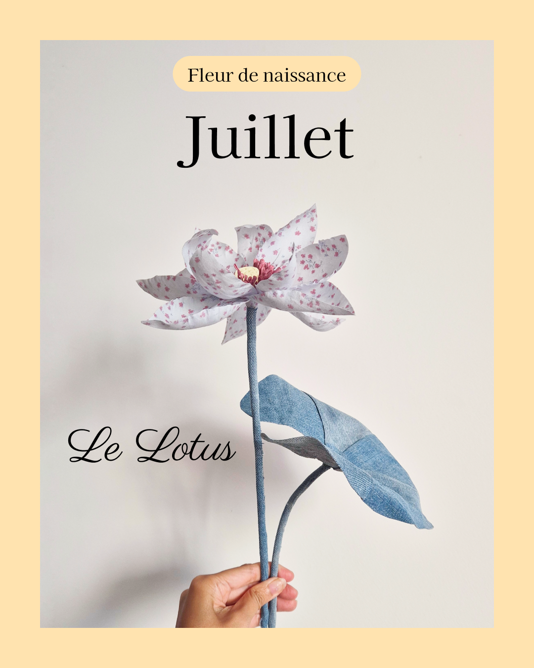 fleur de naissance du mois de juillet à partir de vêtement type de toute la famille comme le jean du papa ou le pyjama ou blouse de l'enfant pour en faire une fleur de lotus