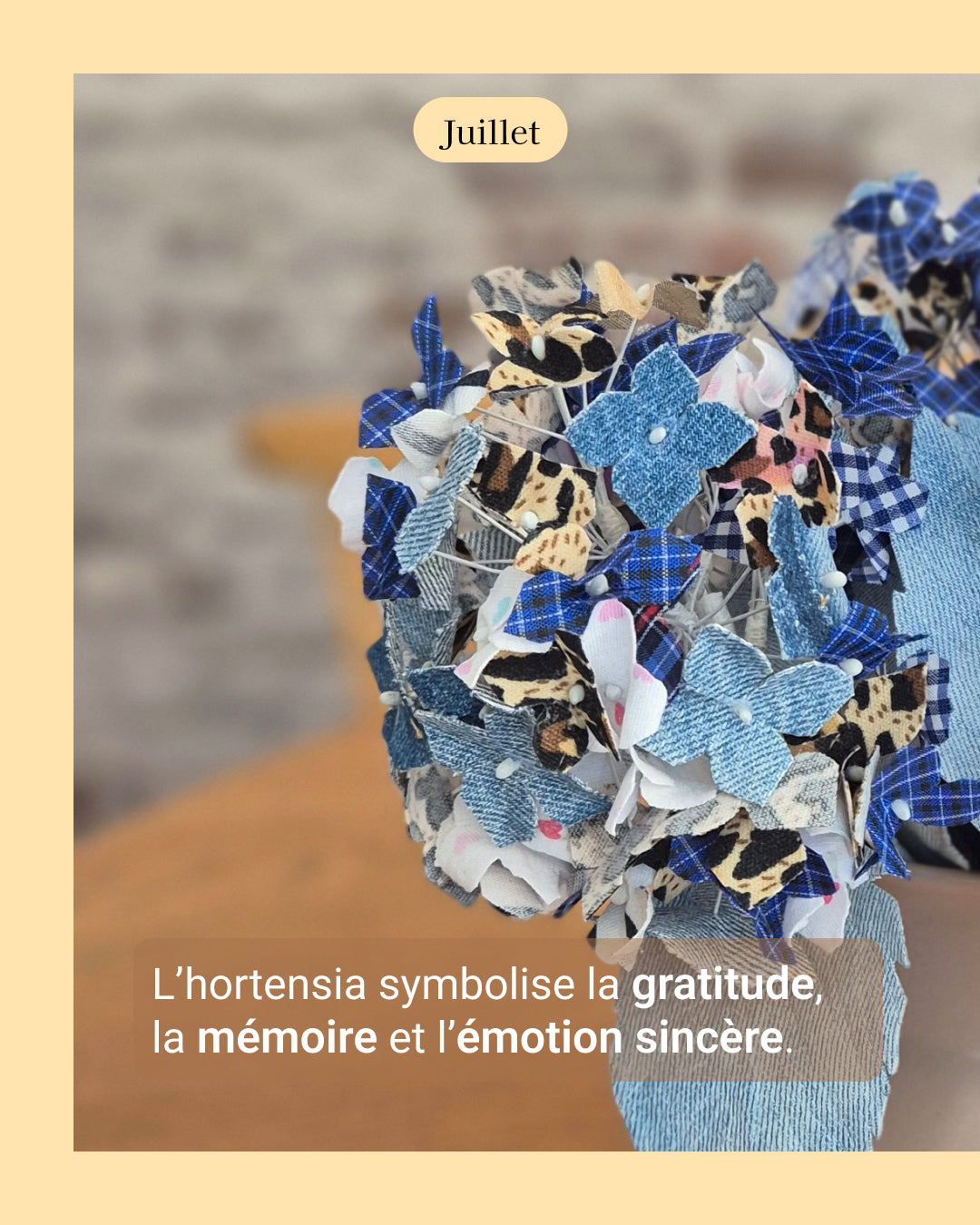 Hortensia - fleur de naissance de Juillet