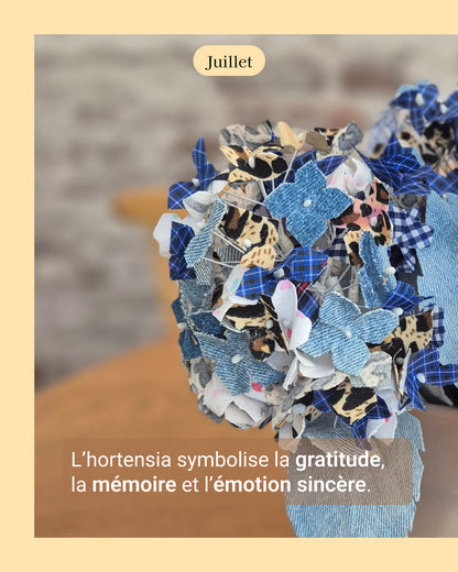 Hortensia - fleur de naissance de Juillet