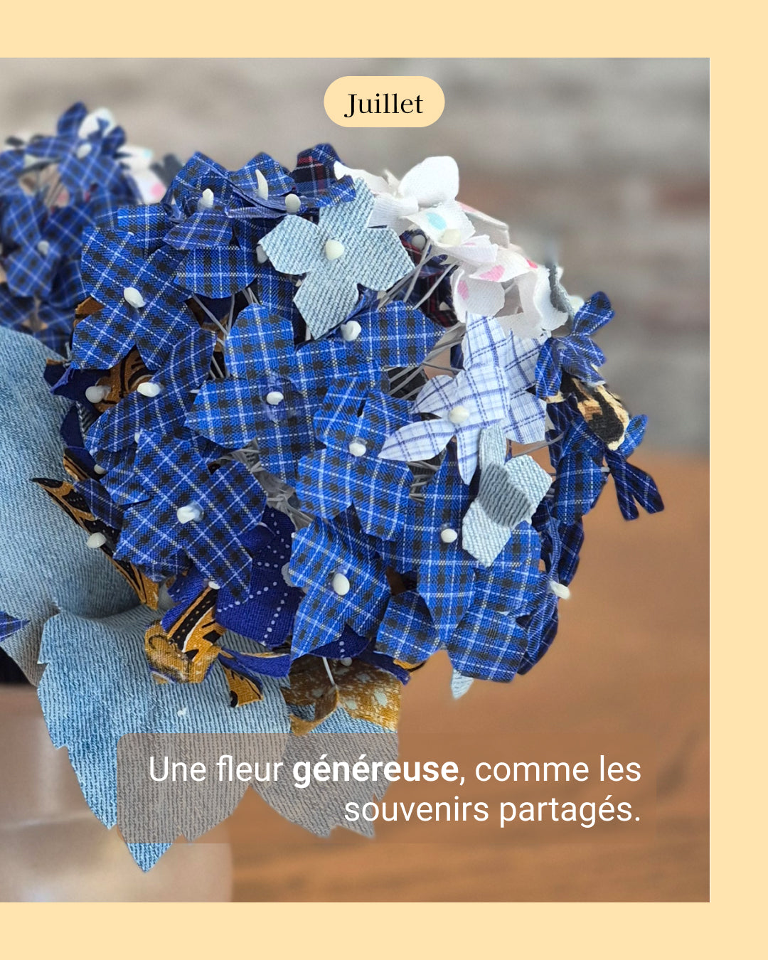 Hortensia - fleur de naissance de Juillet