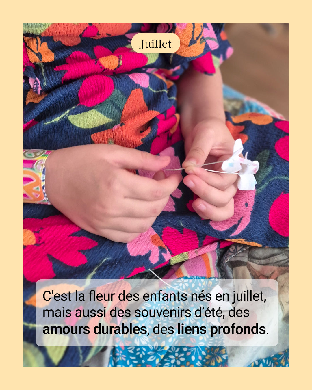 Hortensia - fleur de naissance de Juillet