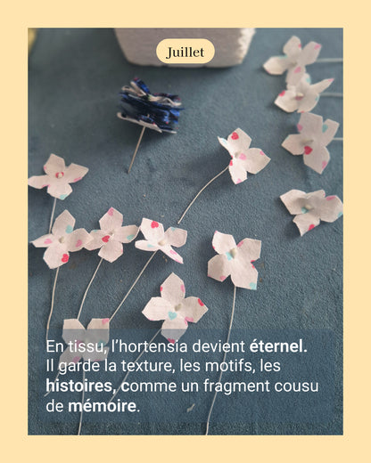 Hortensia - fleur de naissance de Juillet