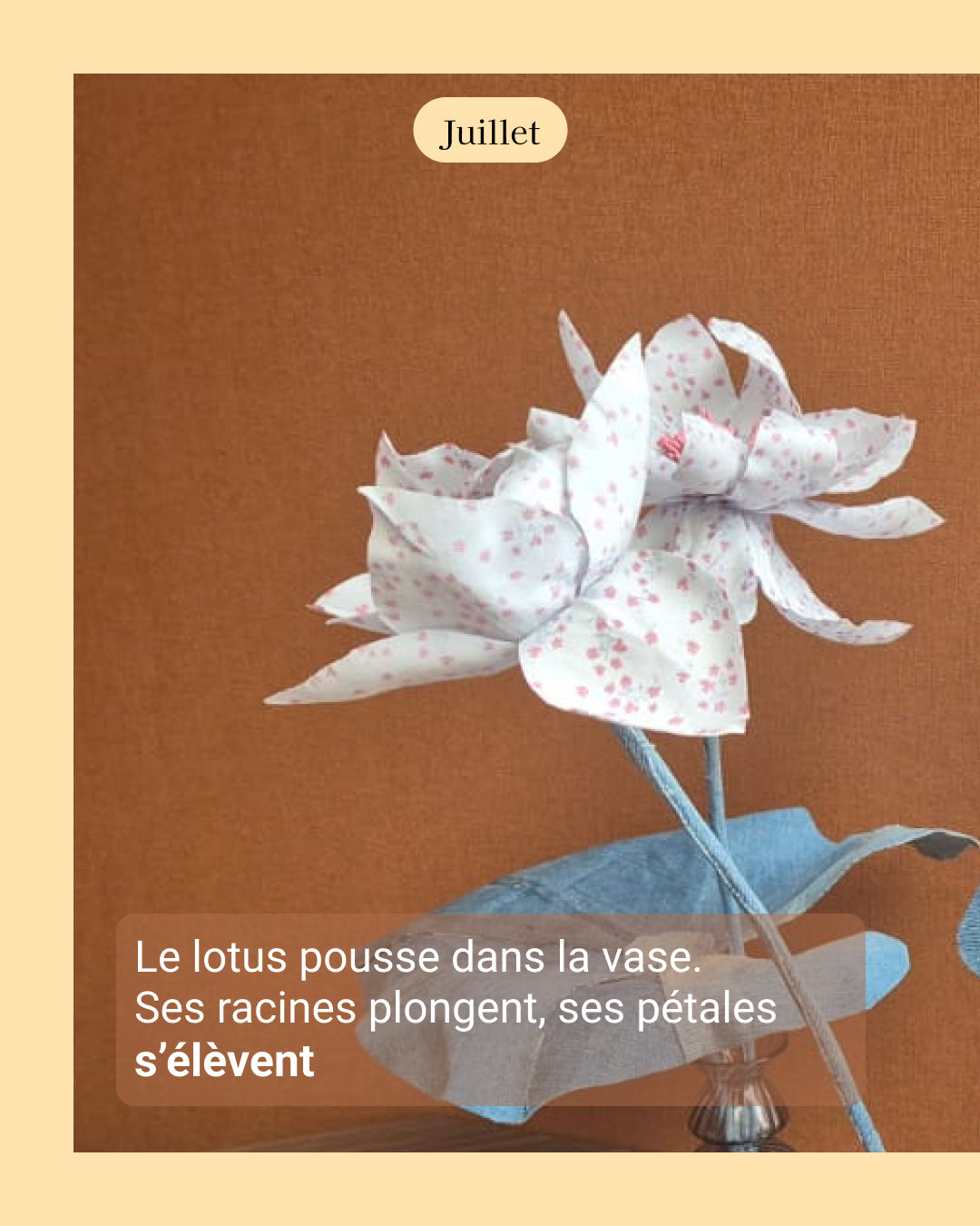 Lotus - fleur de naissance de Juillet