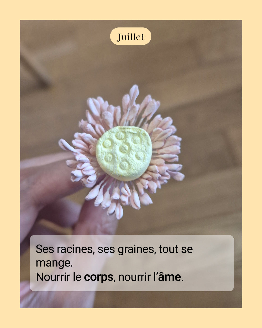 Lotus - fleur de naissance de Juillet