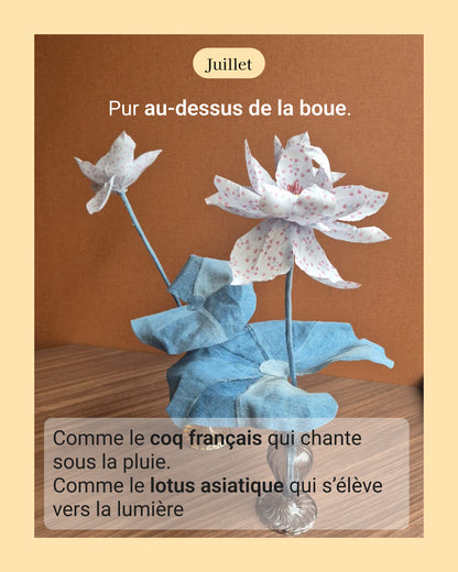 Lotus - fleur de naissance de Juillet