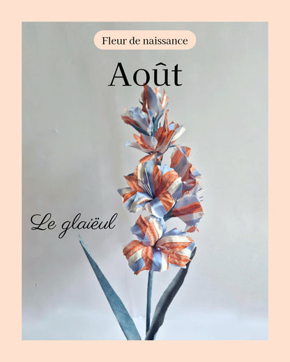 Glaieul - fleur de naissance d'Août