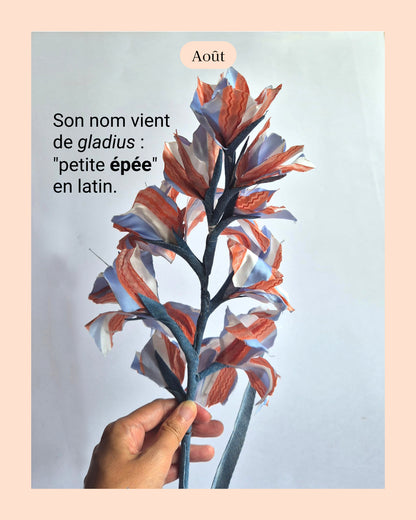 Glaieul - fleur de naissance d'Août