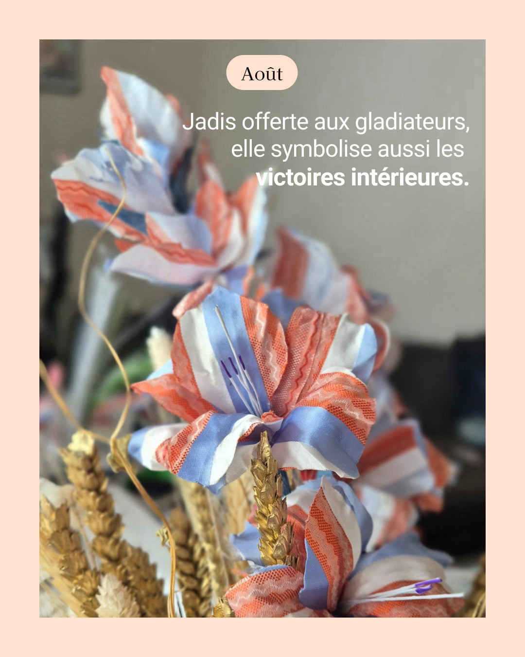 Glaieul - fleur de naissance d'Août