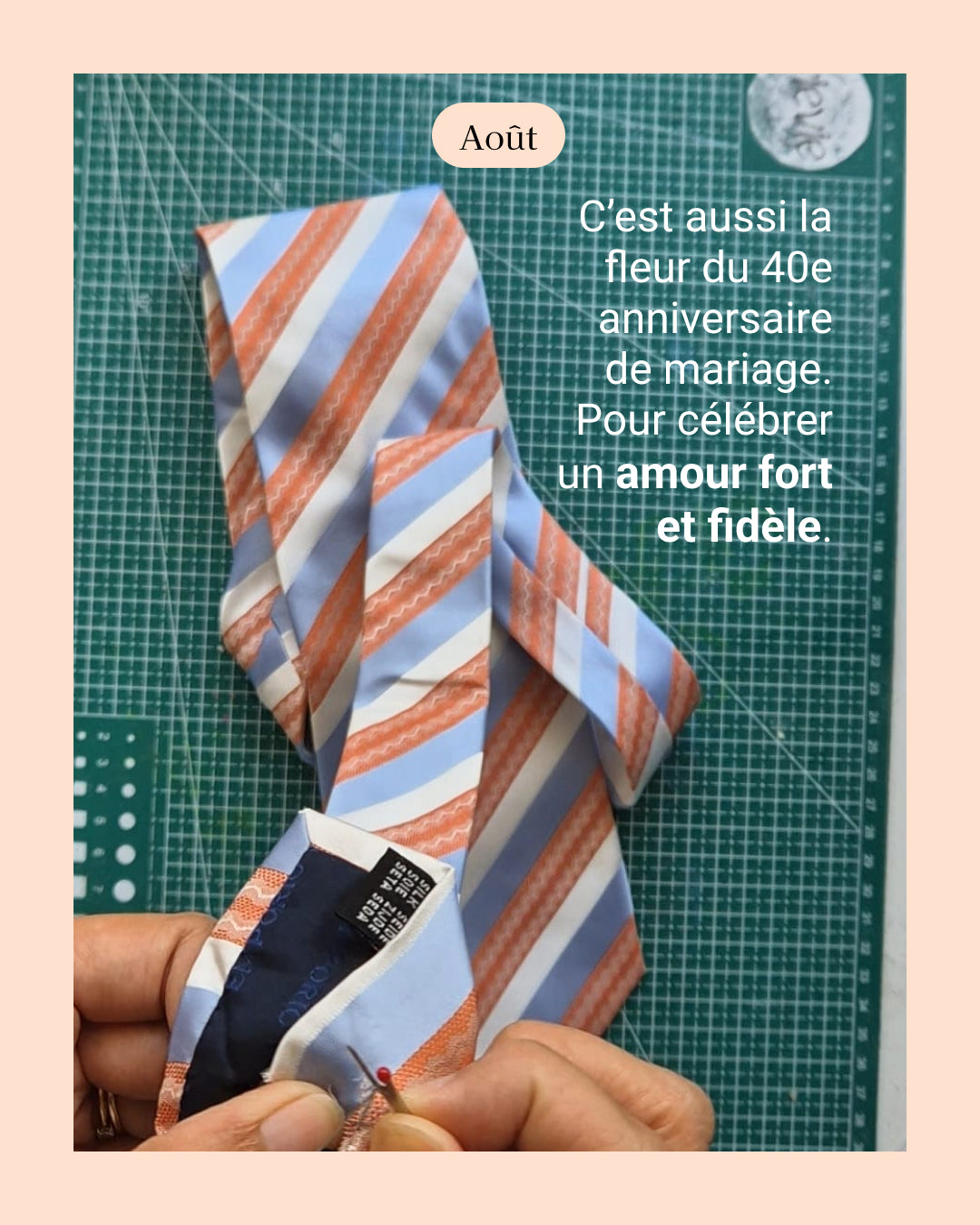 Glaieul - fleur de naissance d'Août