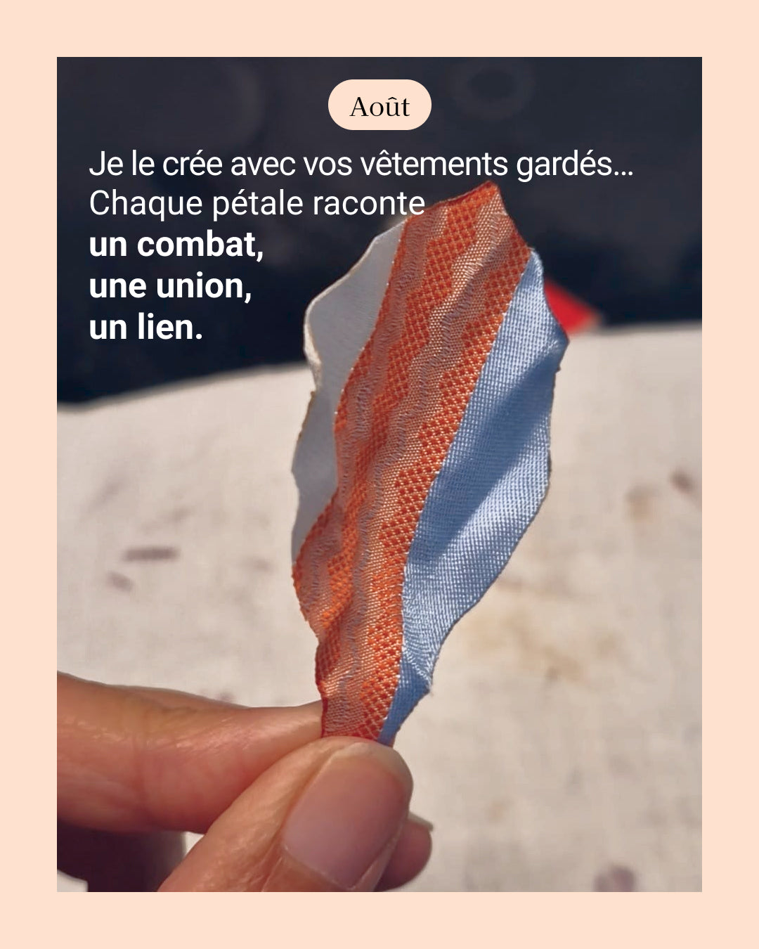 Glaieul - fleur de naissance d'Août