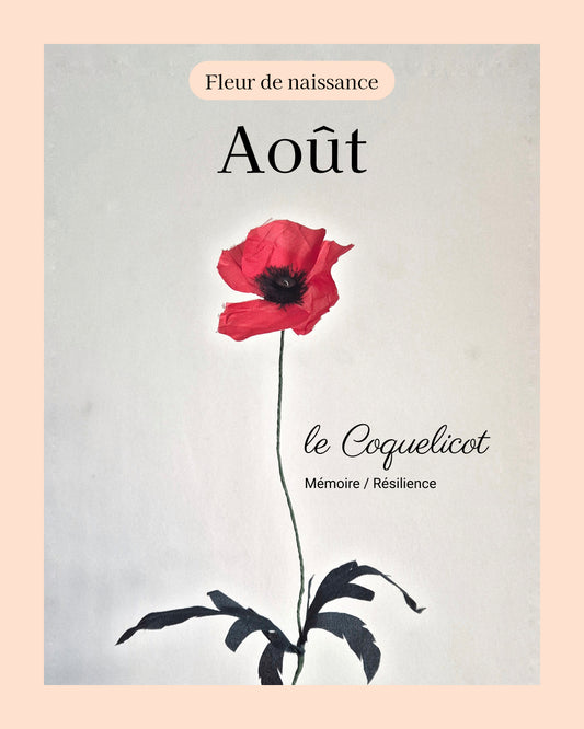 Coquelicot - fleur de naissance d'Août