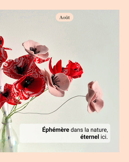 Coquelicot - fleur de naissance d'Août