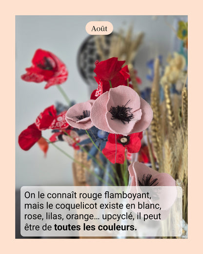 Coquelicot - fleur de naissance d'Août