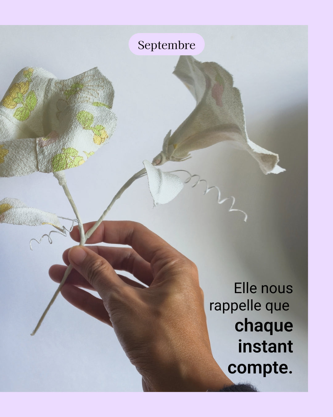 Ipomée - fleur de naissance de Septembre