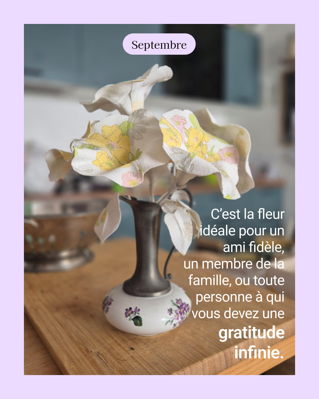 Ipomée - fleur de naissance de Septembre