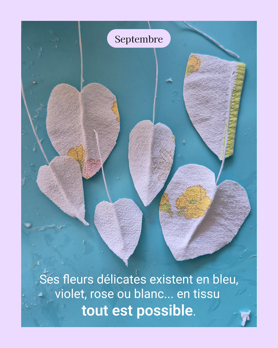 Ipomée - fleur de naissance de Septembre