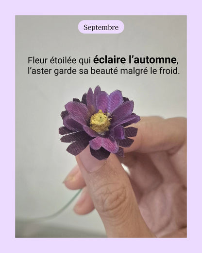 Aster - fleur de naissance de Septembre