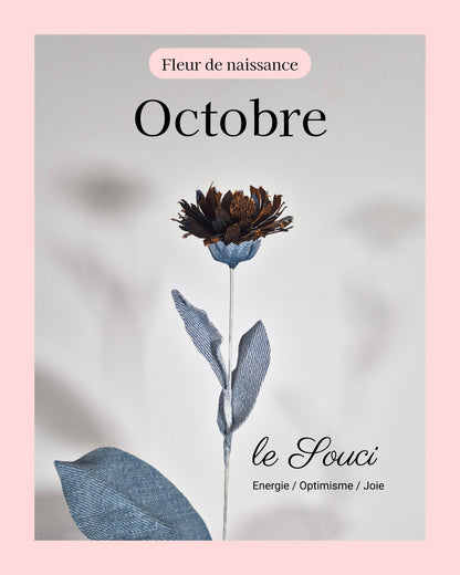 Chrisanthème - fleur de naissance d'Octobre