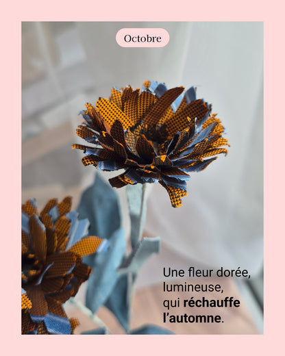 Chrisanthème - fleur de naissance d'Octobre