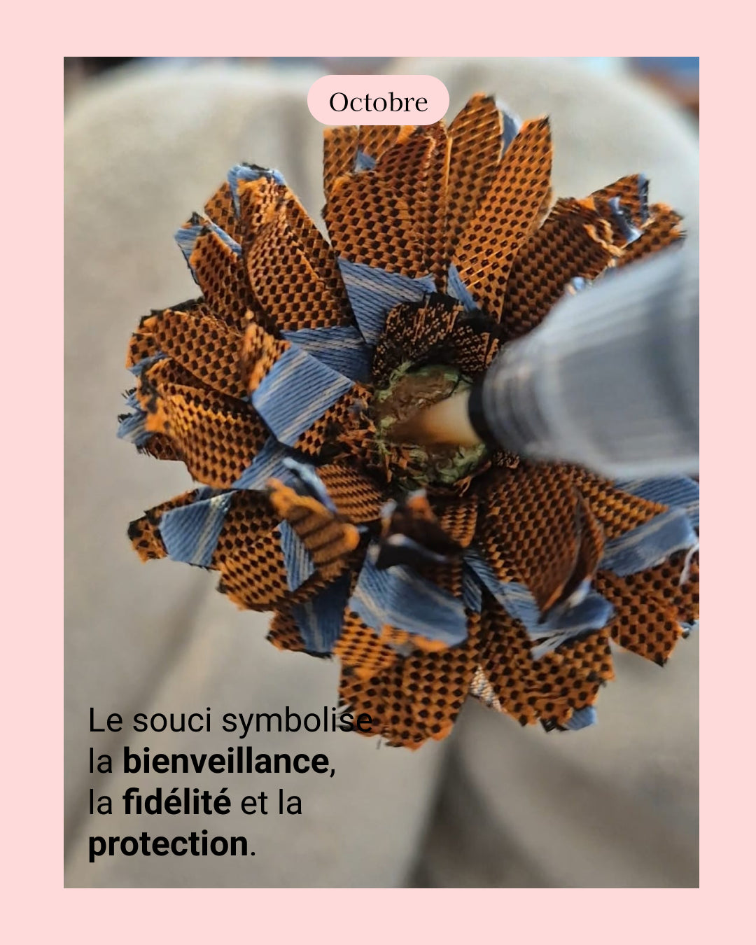 Chrisanthème - fleur de naissance d'Octobre