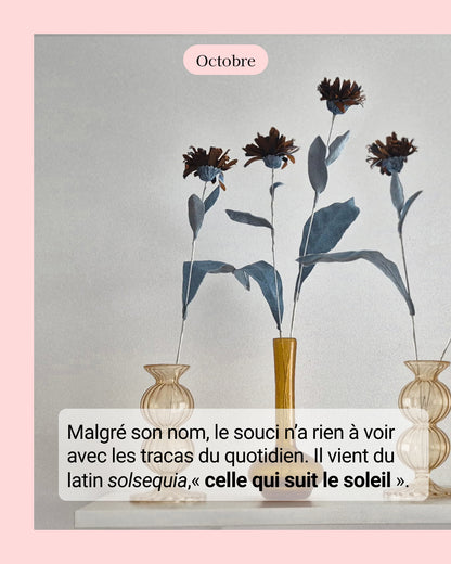 Chrisanthème - fleur de naissance d'Octobre