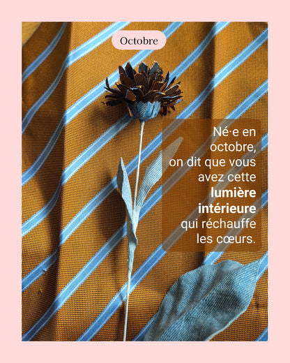 Chrisanthème - fleur de naissance d'Octobre