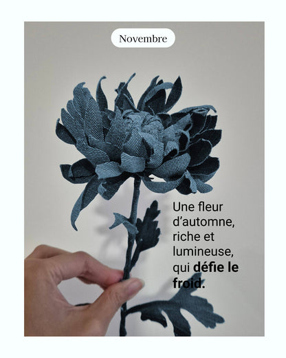 Chrisanthème - fleur de naissance de Novembre