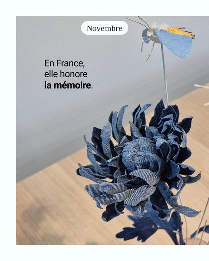 Chrisanthème - fleur de naissance de Novembre