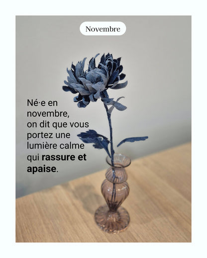 Chrisanthème - fleur de naissance de Novembre