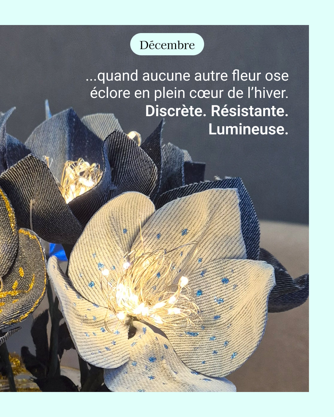Hellebore - fleur de naissance de Décembre