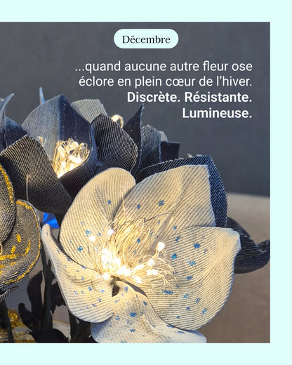 Hellebore - fleur de naissance de Décembre