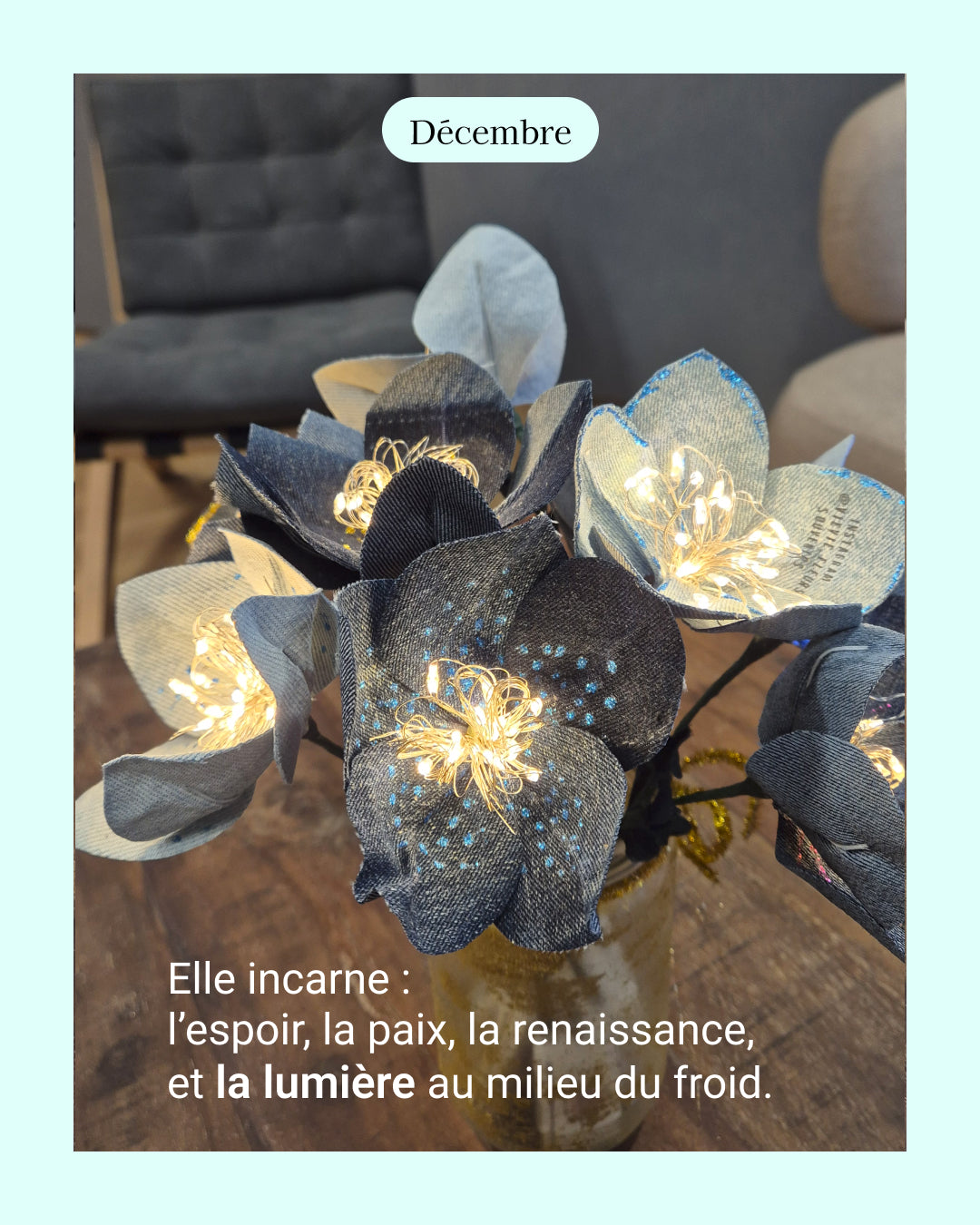 Hellebore - fleur de naissance de Décembre