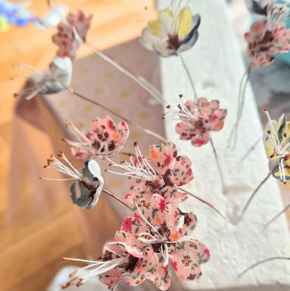 Fleurs de cerisier