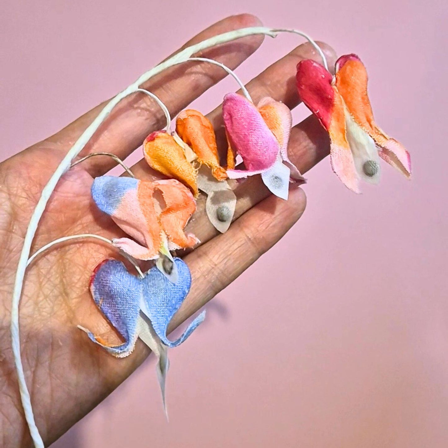 Bleeding Heart ou Coeur-de-Marie