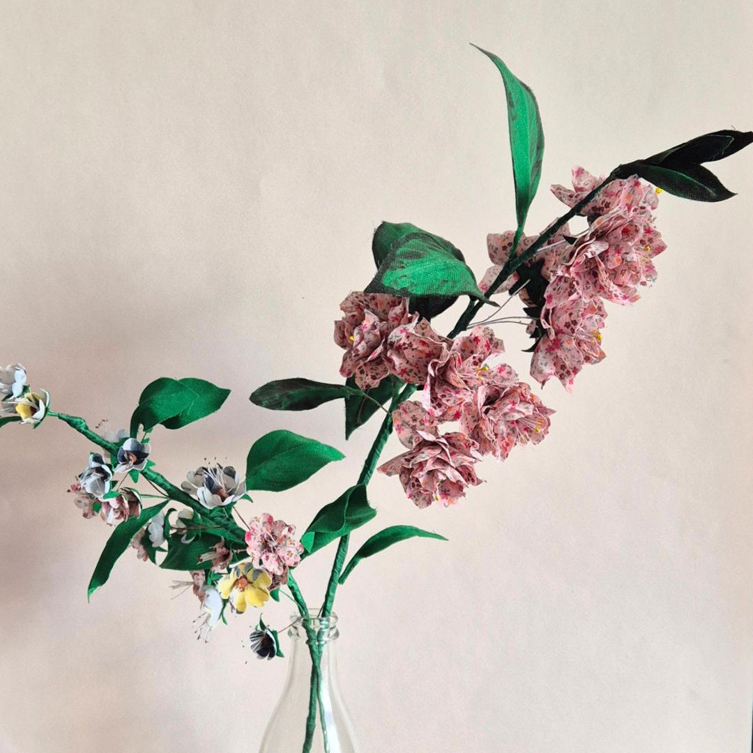 Fleurs de cerisier