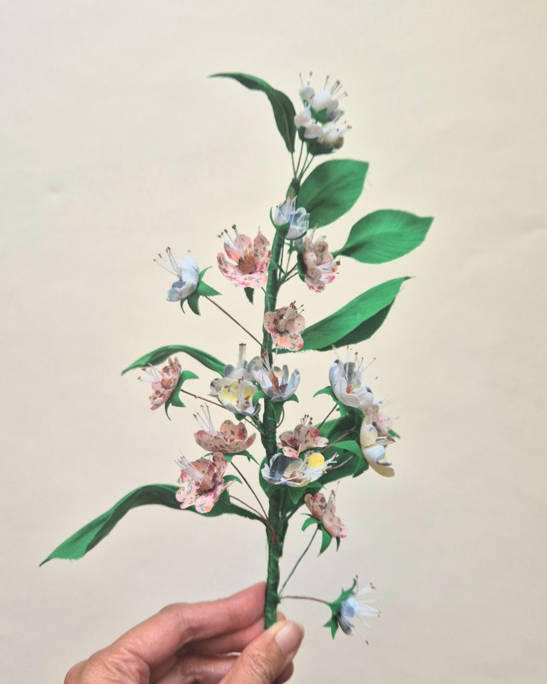 Fleurs de cerisier