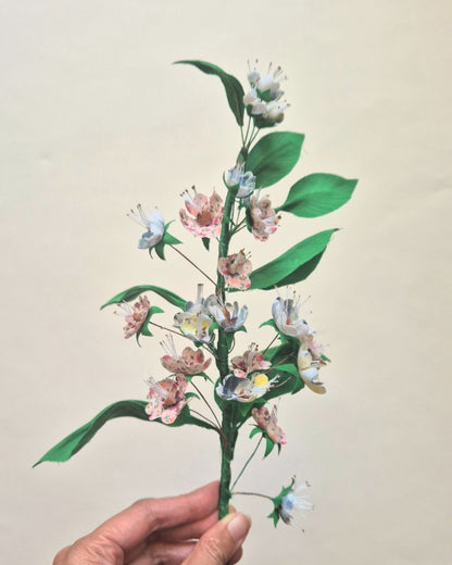 Fleurs de cerisier