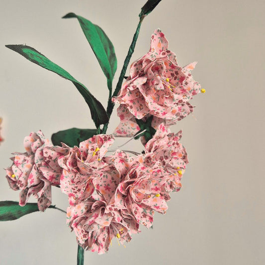 Fleurs de cerisier
