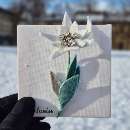 Edelweiss
